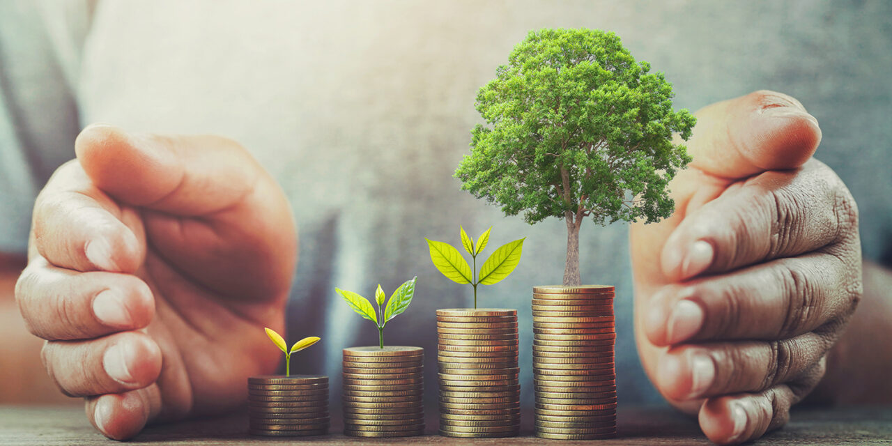 Sustainable Finance: Mit gutem Gewissen investieren